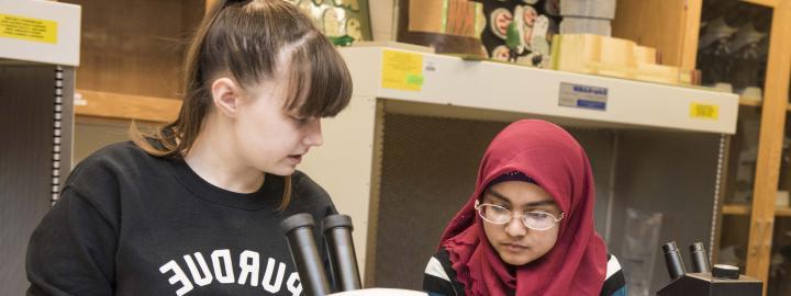 Biology students examining a slide sample on a lab microscope.