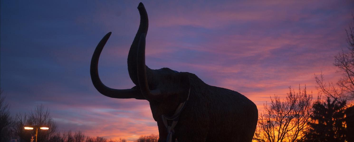 Bronze mastodon silhouetted in the evening sunset.